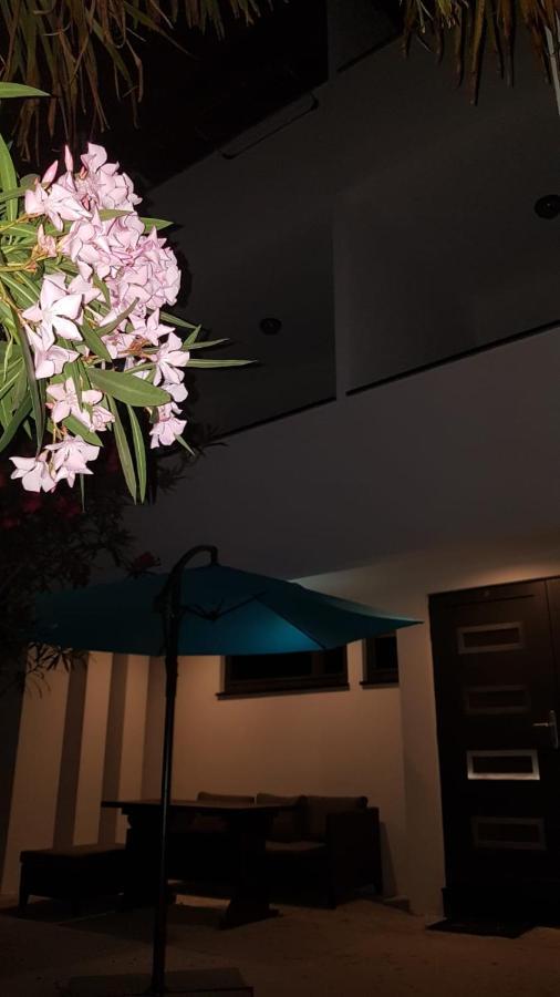 ביוגראד נה מורו Apartments Star With Pool מראה חיצוני תמונה