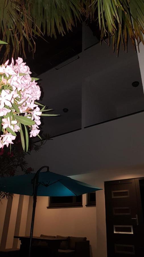 ביוגראד נה מורו Apartments Star With Pool מראה חיצוני תמונה