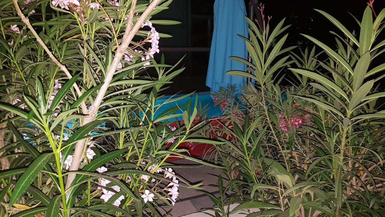 ביוגראד נה מורו Apartments Star With Pool מראה חיצוני תמונה
